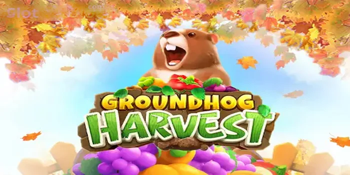 Bocoran Tips Agar Raih Cuan Besar Slot Groundhog Harvest